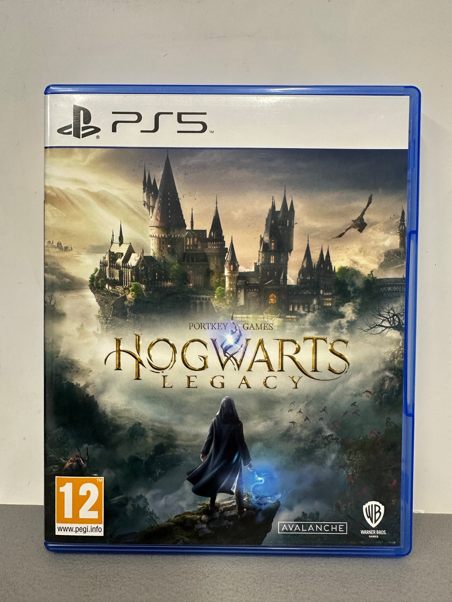 Hogwarts Legacy PS5