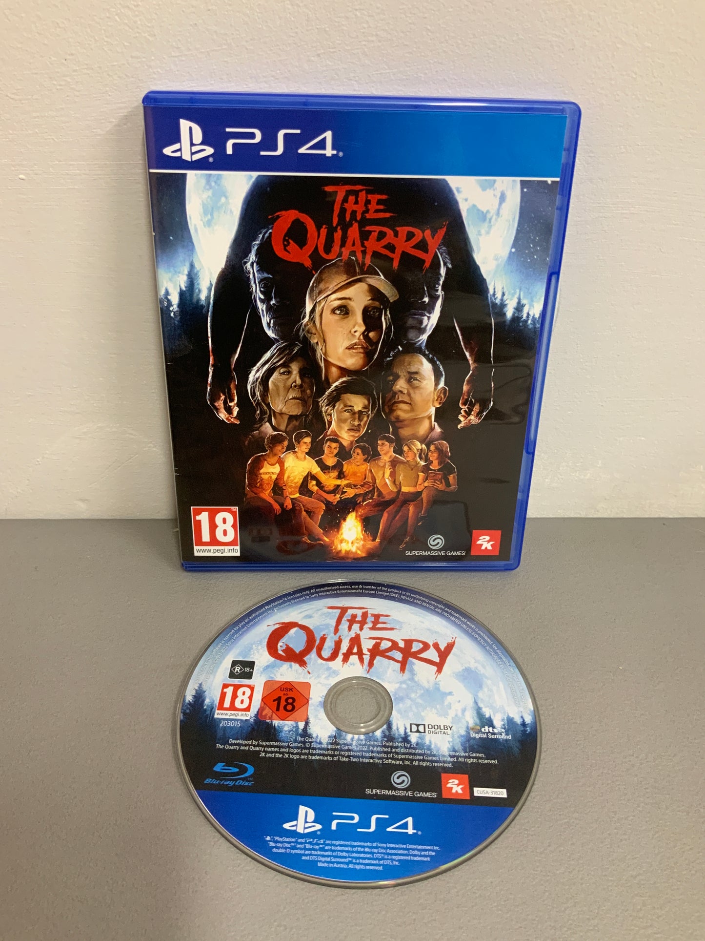 The Quarry PS4