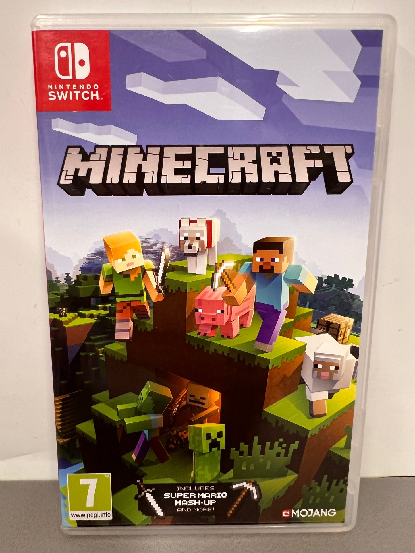 Minecraft Nintendo Switch